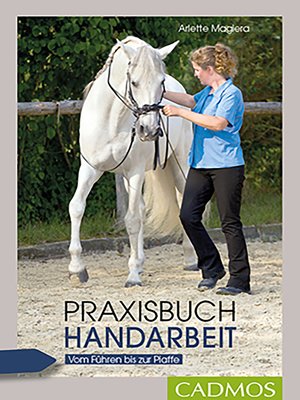 cover image of Praxisbuch Handarbeit